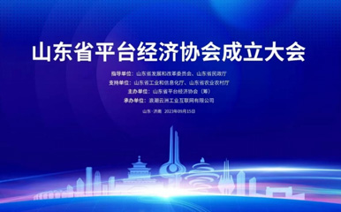 Rizhao Platform Economy Industrial Park invited to participate in the establishment conference of Shandong Platform Economy Association